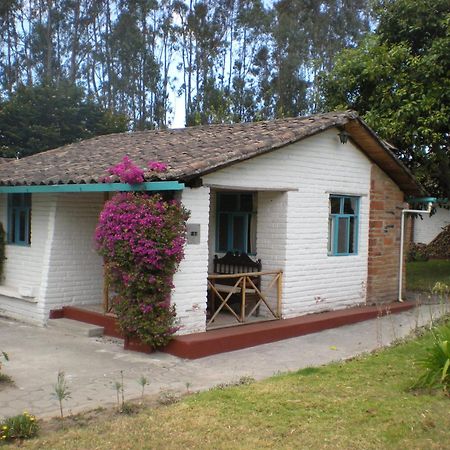 Las Palmeras Inn Otavalo Ngoại thất bức ảnh