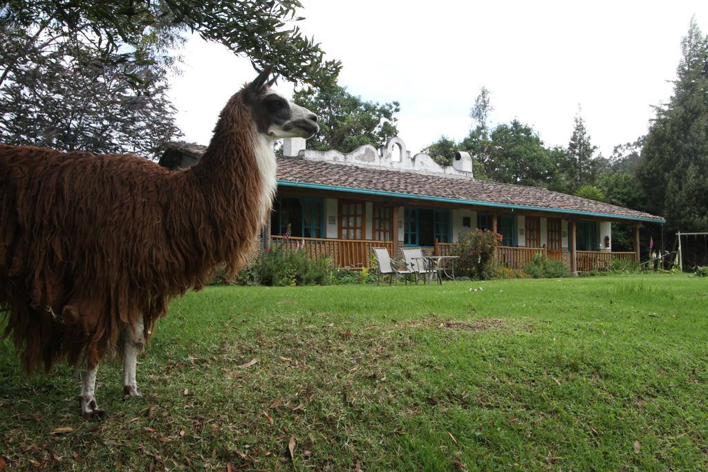 Las Palmeras Inn Otavalo Ngoại thất bức ảnh