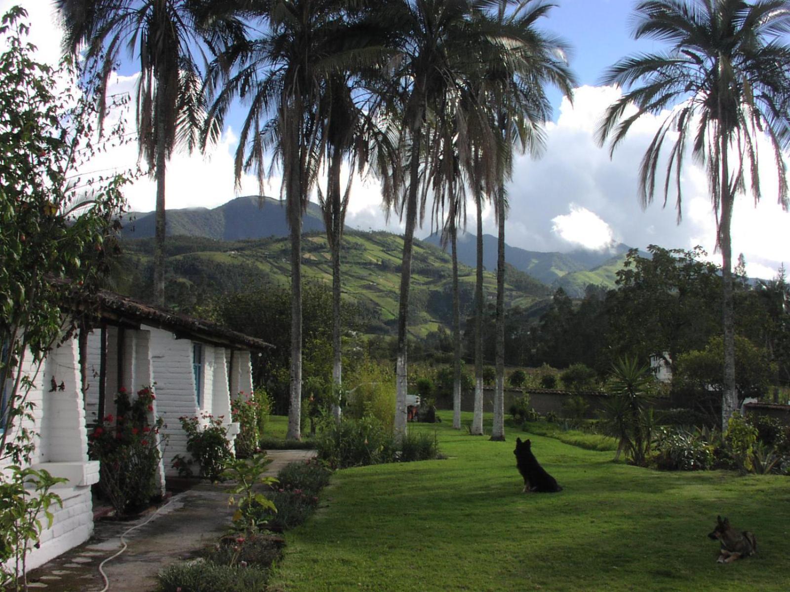 Las Palmeras Inn Otavalo Ngoại thất bức ảnh
